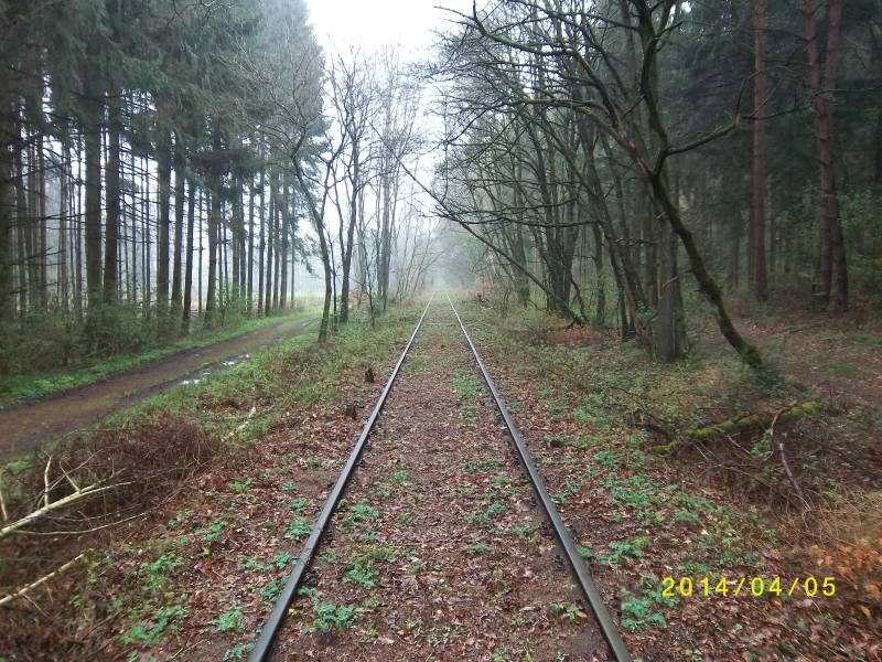 ZWNEGI36